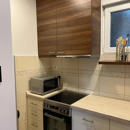 Vracar Appartamento Belgrado