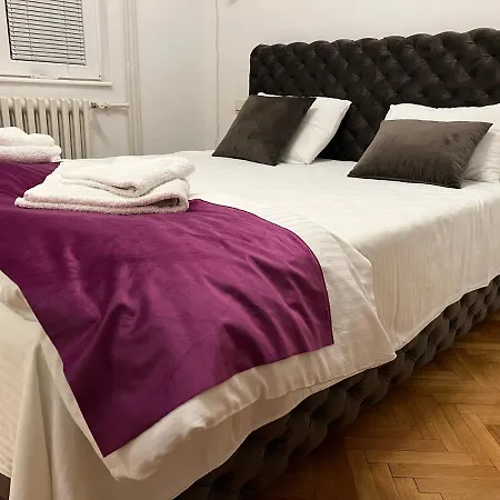 Vracar Apartment *